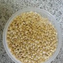 여비농장 이미지