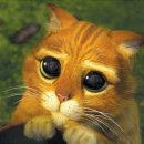 이끌림동물병원 이미지