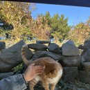 주식회사 상화원 이미지