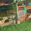 애플팜핑 이미지