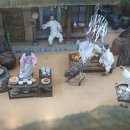 산청전통한방휴양관광지 이미지