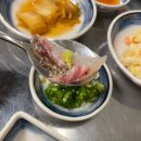 안산 고잔신도시 숙성회 맛집 <회풍> 말이 필요없는 지존횟집 시마아지 내돈내산 후기