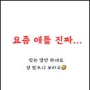 공부하는코끼리학원