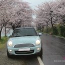 금정카프렌드 이미지