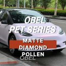 폴렌 | 부천랩핑 테슬라 랩핑 OBEL MATTE DIAMOND POLLEN 매트 다이아몬드 폴렌 전체랩핑 후기