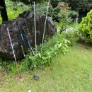 하너미로 이미지