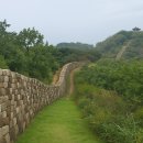 김포의 문수산성, 독립운동기념관, 김포금쌀, 붕어찜
