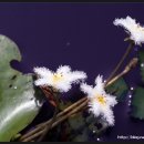 남생이못 습지생태 관찰원 이미지