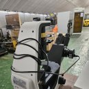 라이코스 이미지