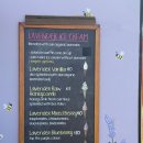 마운트쿡 알파인 라벤더 NZ Alpine Lavender &amp; 테카포 호수 앞 피시앤 칩스 맛집 The Better Batter NZ