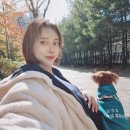서영 이미지
