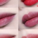 크림슨베어 이미지