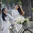 봉선초등학교 이미지