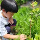 겸백초교 이미지