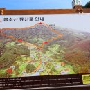 사하초교 앞 이미지