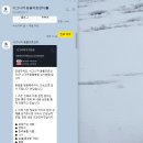 아크로벳 내과동물병원 | 강아지 비장 결절로 찾은 서울 2차병원, 시그니처 동물의료센터 진료 후기