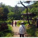 모라백양공원 이미지