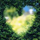 Being Fore 이미지