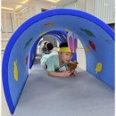 팀태권도장 이미지