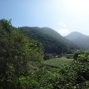 소백산 구봉팔문(九峰八門)중 ＜6봉＞곰절문봉(875m).＜5봉＞덕평문봉(955m).4구간(졸업구간)/충북 단양 이미지