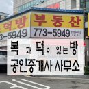 복과 덕이 있는 방 공인중개사사무소 이미지