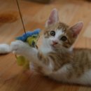 밍밍 (mingming) 이미지