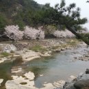 천지유도체육관 이미지