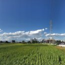 D00534 네이버블로그