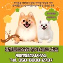 케이엠행정사사무소 이미지