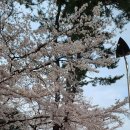 선하식당 이미지