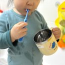 초록어린이집 | 어린이집양치컵 추천 에이카랩스 코뿔소칫솔 세트 후기