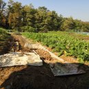 동남농장 이미지