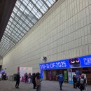 서울디자인페스티벌 2025 코엑스 11월 12일 방문 후기