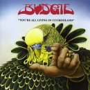 You&#39;re All Living in Cuckooland - Budgie 이미지