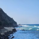 심곡 | 강릉 가볼만한곳 정동심곡 바다부채길 후기 (요금, 코스, 소요시간)