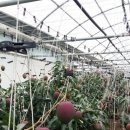 은서농장 이미지