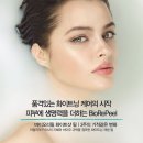 필바이오 이미지