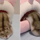 30마라탕 이미지