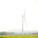 효돈동부도서관 | 제주도숙소 서귀포숙소 제주도여행 느린 낭만이 머무는 낭만느림보하우스 주인장의 제주도 풍경사진...