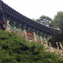 마산할매아구 이미지