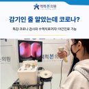 척척본의원 이미지