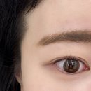 원신흥초교 | 대전 유성 속눈썹펌 잘하는곳, 뷰티바이홍 자연스러운 컬 후기