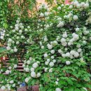 성도치과의원 이미지