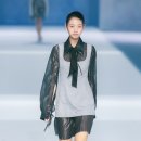 시이안 이미지