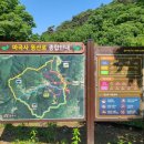 새희망 Daum카페