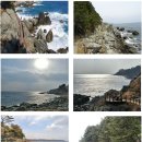 2월 정기산행 안내-영덕 블루로드B코스 이미지