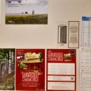 늘 올레 스테이 이미지