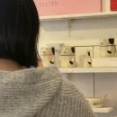 더블유더블유더블유 스토어(www store) | 3월 후쿠오카 여행 4 (후쿠오카 버스투어, 여행한그릇, 모츠나베 맛집,돈키호테, 긴글주의)