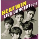 비트윈 이미지