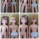 [후기]리카프렌즈 리본짱 푸루룬짱 + 식모한 리카